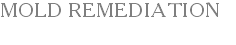 MOLD REMEDIATION