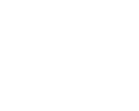 COMMITTED TO SUPERIOR QUALITY & RESULTS 